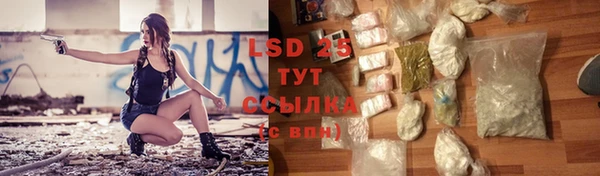 таблы Богданович