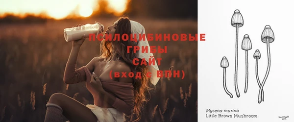 прущие крисы Богородицк