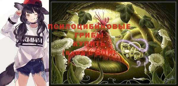 таблы Богданович