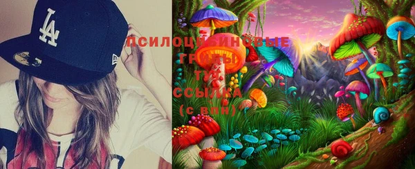 таблы Богданович
