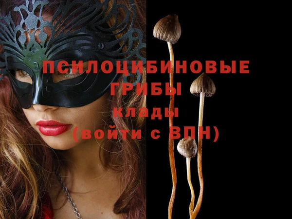прущие крисы Богородицк