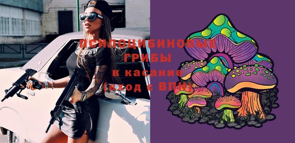 прущие крисы Богородицк