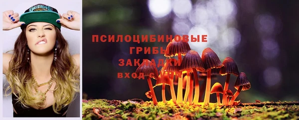 таблы Богданович