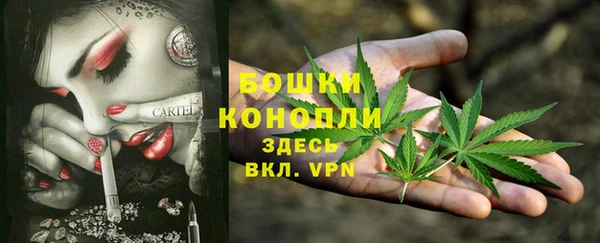 прущая мука Богородск